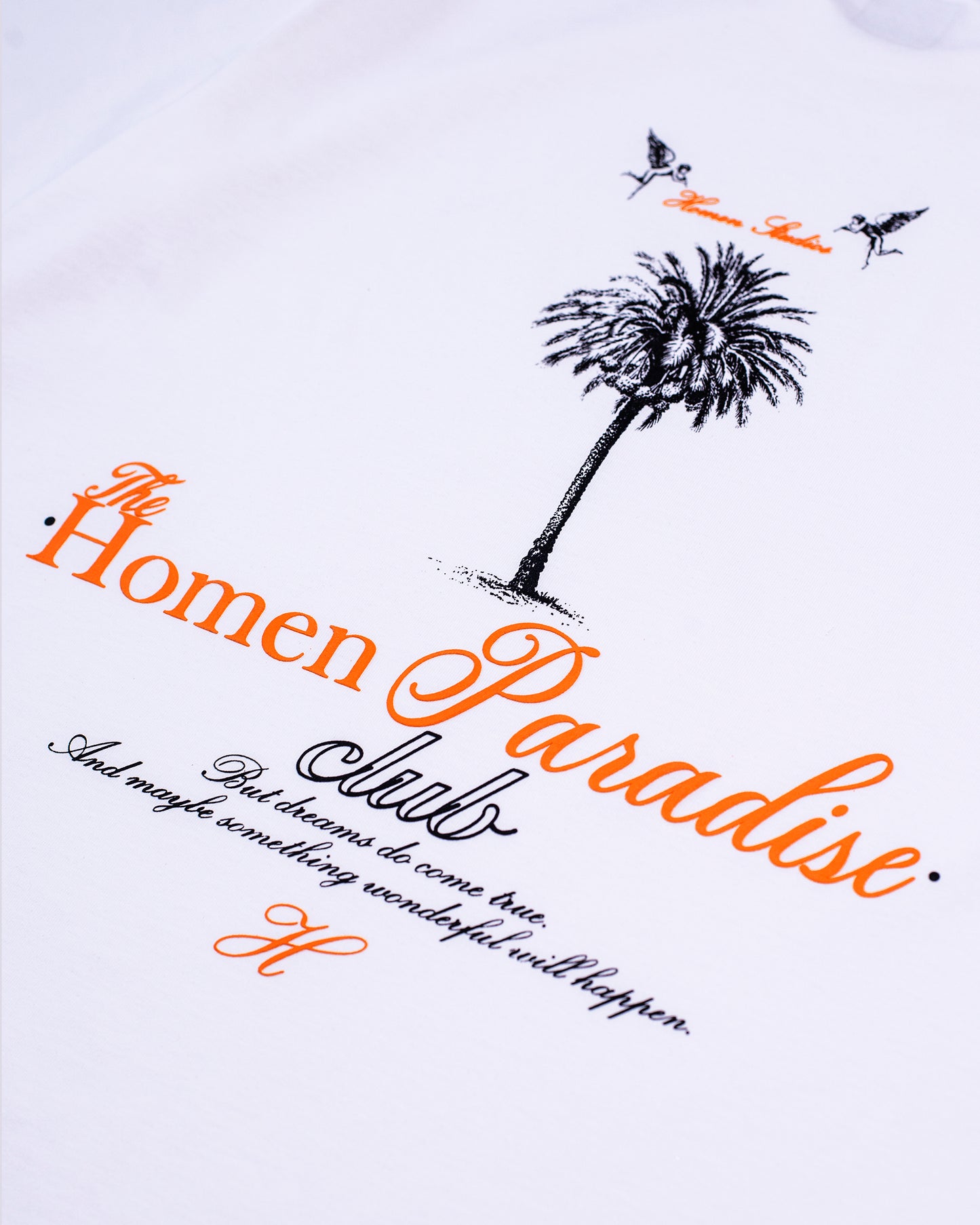 CAMISETA OVERSIZE HOMEN PARADISE